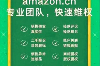 不中背后的真相：概率机制与选号技巧深度解析