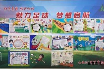 足球的魅力让我沉醉绿茵场上的激情与梦想