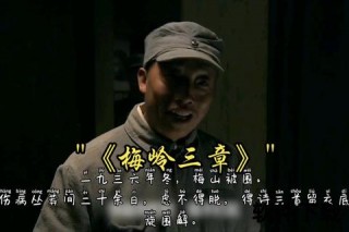 梅为何被称为铁骑-历史渊源与军事象征的双重解析