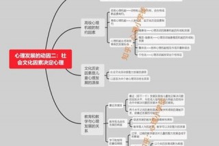 詹姆斯为何讨厌XX现象_深度解析其背后原因与心理动因