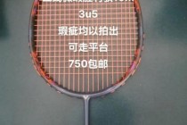 胜利羽毛球哪个好_全系列解析与热门型号推荐