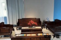 黑檀哪里好_揭秘其独特优势与选购价值所在