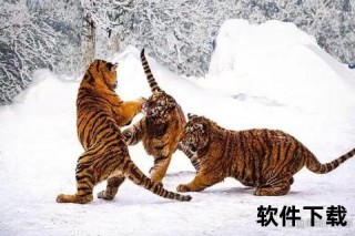 虎豹双雄：丛林之王与暗夜猎手的巅峰对决
