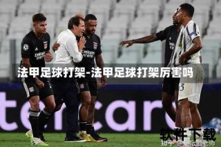 足球赛事录像回放技术革新与争议——关键判罚背后的真相解析