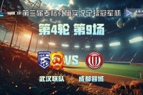 武汉足球激情澎湃江城赛场再掀高潮