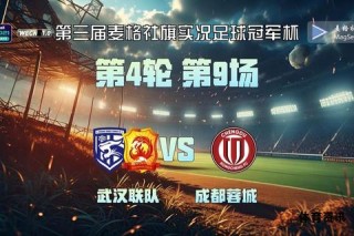 武汉足球激情澎湃江城赛场再掀高潮