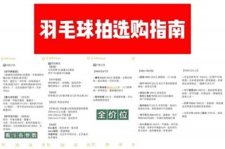 羽毛球拍选购指南：性能参数与品牌推荐全解析