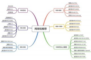 网球拍品牌选购指南-热门型号性能解析及推荐榜单
