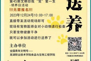 领养直播平台大比拼：如何挑选最适合的宠物领养频道