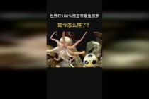 章鱼保罗世界杯预言帝传奇