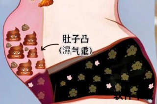跑步后胃部不适频发-解析诱因与科学缓解方法
