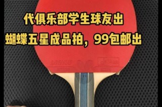 蝴蝶乒乓球拍价格解析：多少钱能入手？选购指南与报价一览