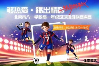 绿茵场上冠军足球征程球员拼搏铸就荣耀巅峰