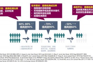 球困之谜：运动发展瓶颈解析与突破路径探索