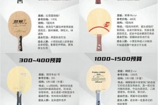 乒乓球拍选购指南：哪个品牌好及性能对比分析