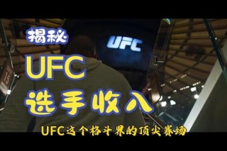 UFC冠军奖金揭秘：顶尖选手收入数额及分配方式全解析