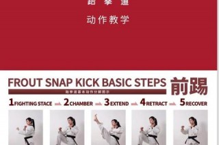 跆拳道命名解析：腿拳技艺与武道精神的融合