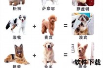 汤普森的狗是什么品种_揭秘其犬种血统与独特特征
