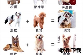 汤普森的狗是什么品种_揭秘其犬种血统与独特特征