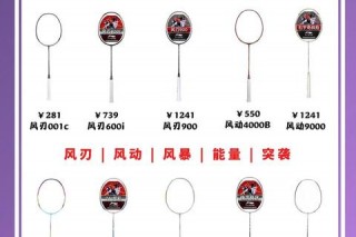 2025李宁羽毛球拍选购指南：热门系列与高性价比型号推荐