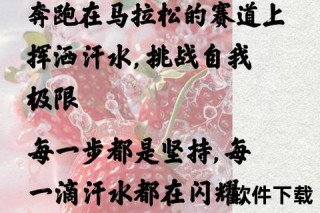 挑战与坚持的对话：马拉松如何定义人生赛道