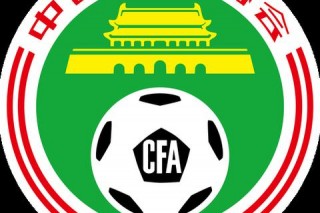 中国足球队徽：绿茵图腾_荣耀印记与国足精神的传承密码